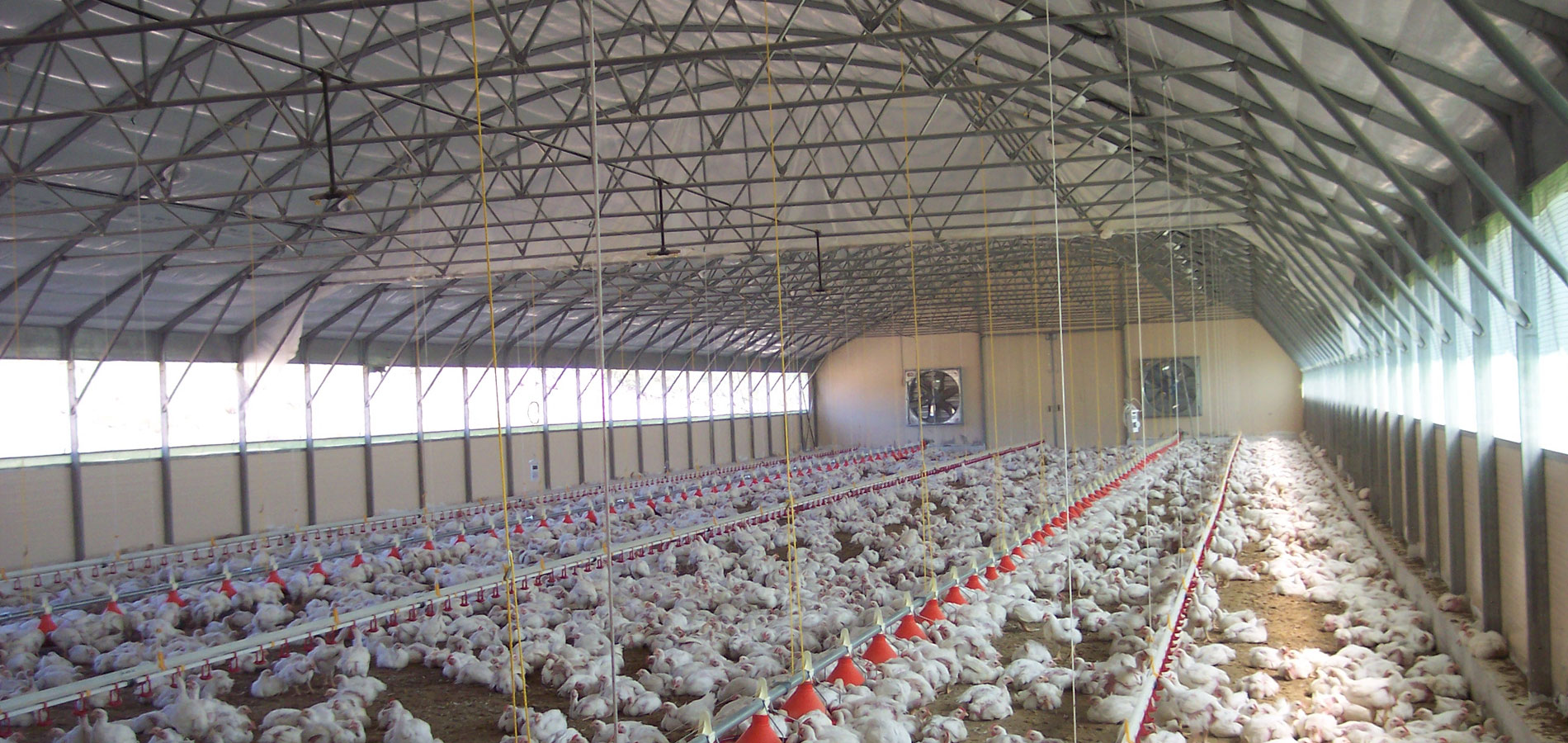 ΛΑΜΠΡΙΑΝΙΔΗΣ – AGROINTECH ΕΠΕ